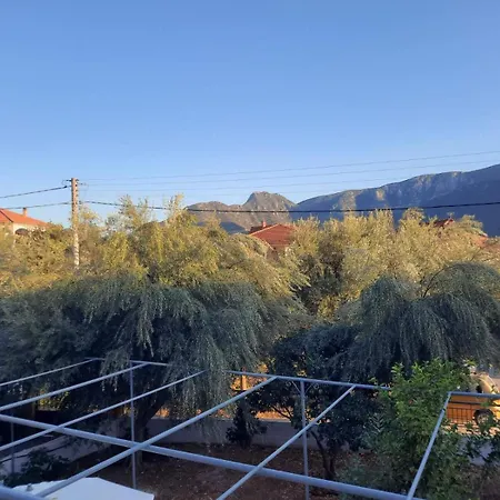 The Olive House Apartamento