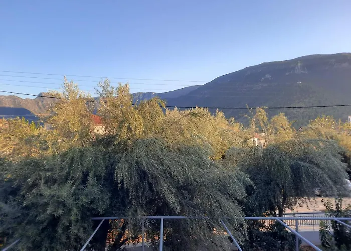 The Olive House * 利昂尼迪翁